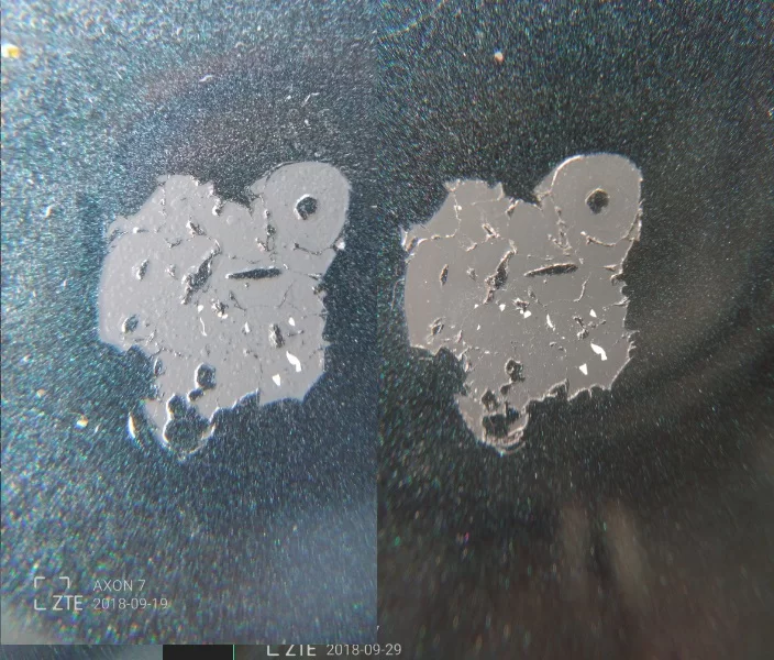 10 day comparison of trunk panel.webp