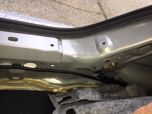 Left Trunk Edge1.webp