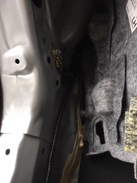 Left Trunk Edge2.webp