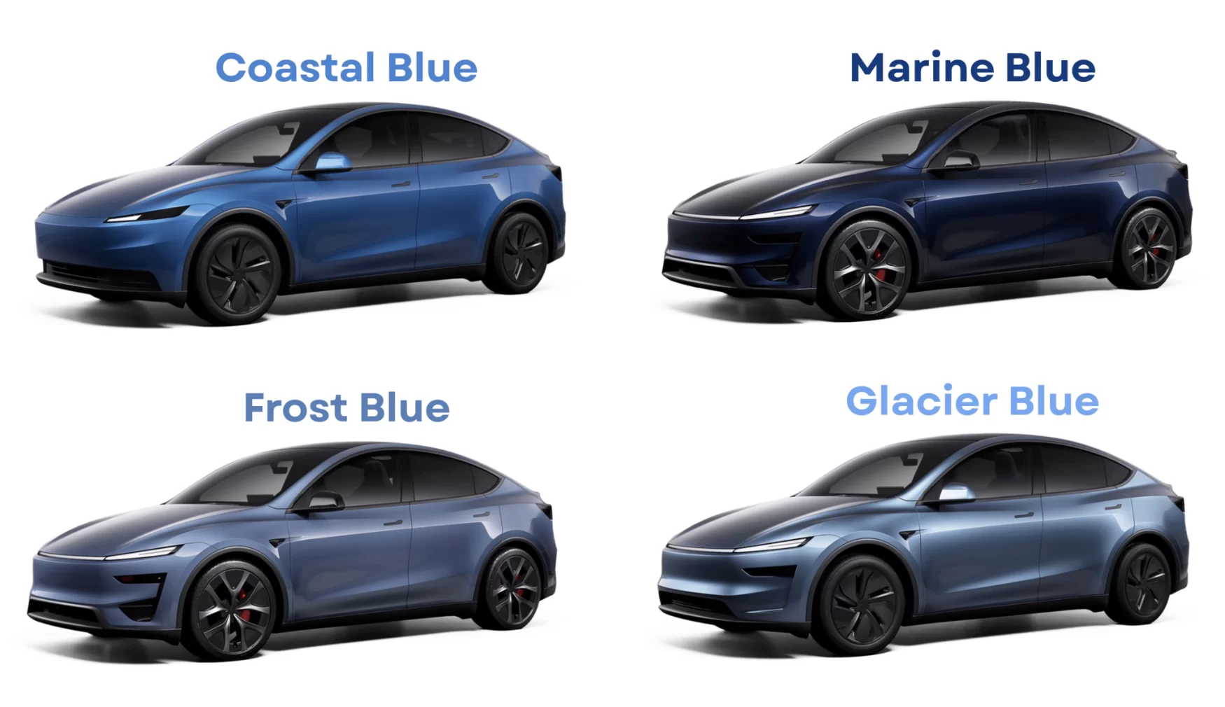 Model Y Blue.webp