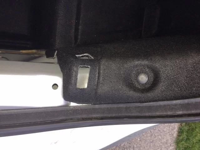 Right Trunk Edge.webp