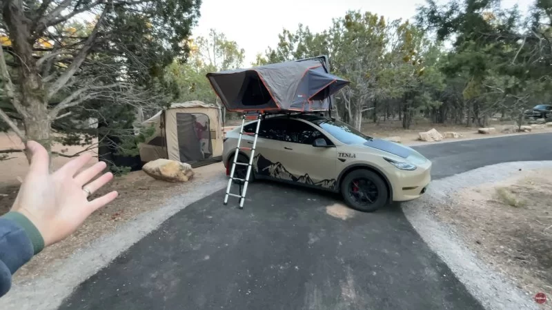 Roof-nest.webp