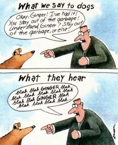 -side-cartoon-what-we-say-to-dogs-blah-blah-ginger.webp