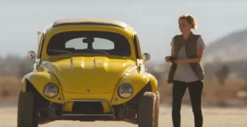 Baja bug.webp