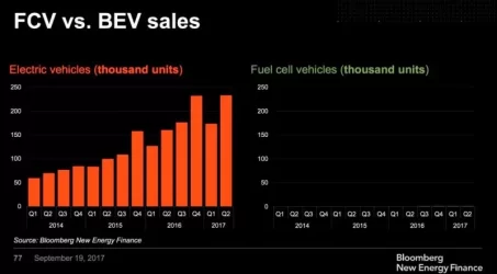bnef.webp