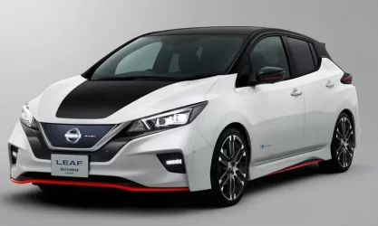 Leaf Nismo.webp Leaf Nismo.webp