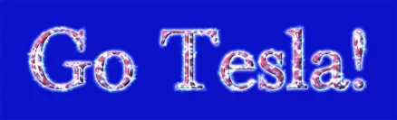 Go-Tesla_Logo_med.webp