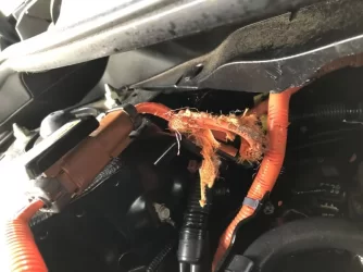 2018 Clarity HV Cable.webp