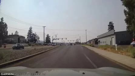 VideoCapture_20210816-163427.webp