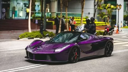 purple.webp