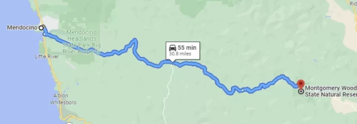 Mendocino to Montgomery Woods - Google.webp