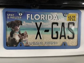X-Gas.webp