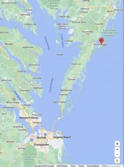 Screen Shot 2022-09-04 at 6.35.34 AM.webp