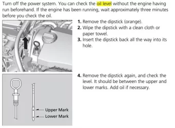 check oil.webp