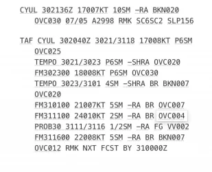 D95019CE-0BF0-42BA-B26A-52B50A04A170.webp
