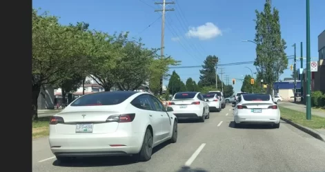 whitetesla.webp