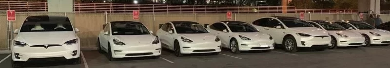whitetesla2.webp