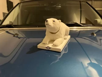 pbear.webp