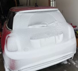 seblizzard.webp