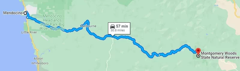 Mendocino CA to Montgomery Woods State Natural Reserve.webp