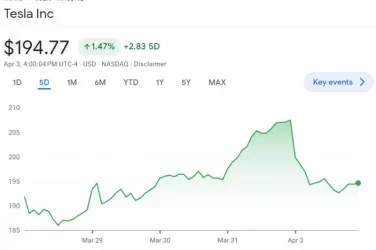 Tesla-5-day.webp