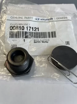 PLUG-MAGNET.webp