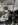 IMG_2940.jpeg