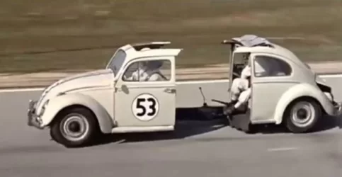 herbie.webp