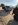 fullsizeoutput_49e.jpeg