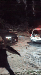 miniwinter2.gif