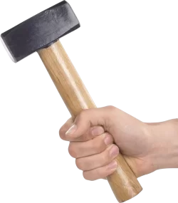 580b585b2edbce24c47b2bb9.webp