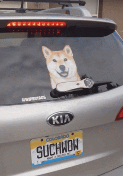 wipertag.gif