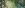IMG_2247.jpeg