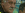 upload_2024-7-13_10-31-39.gif
