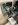 IMG_2894.jpeg