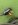 IMG_2898.jpeg