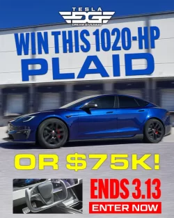 tsl25-cash-march-partner-X3.webp