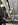 IMG_8534.jpeg