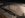 74DC3983-9BC8-40EF-90C9-FEE8186C1C00.jpeg