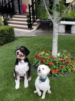 20190620_110253.webp