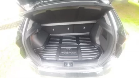 trunk.webp