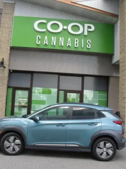 Alberta Green.webp