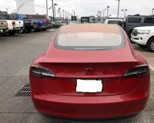 Tesla-4.webp
