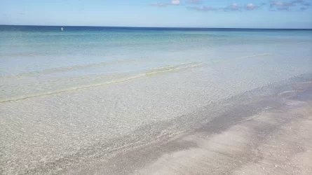 20191004_102820.webp