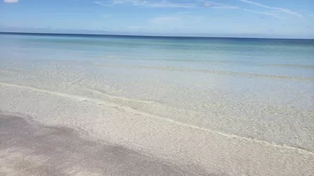 20191004_102822.webp
