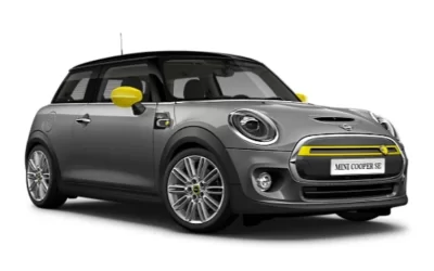 Mini w. Green Stuff.webp