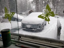 SkookumPete