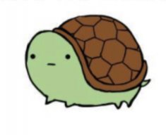 turtleturtle