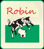 Robin