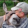 BurroBabe